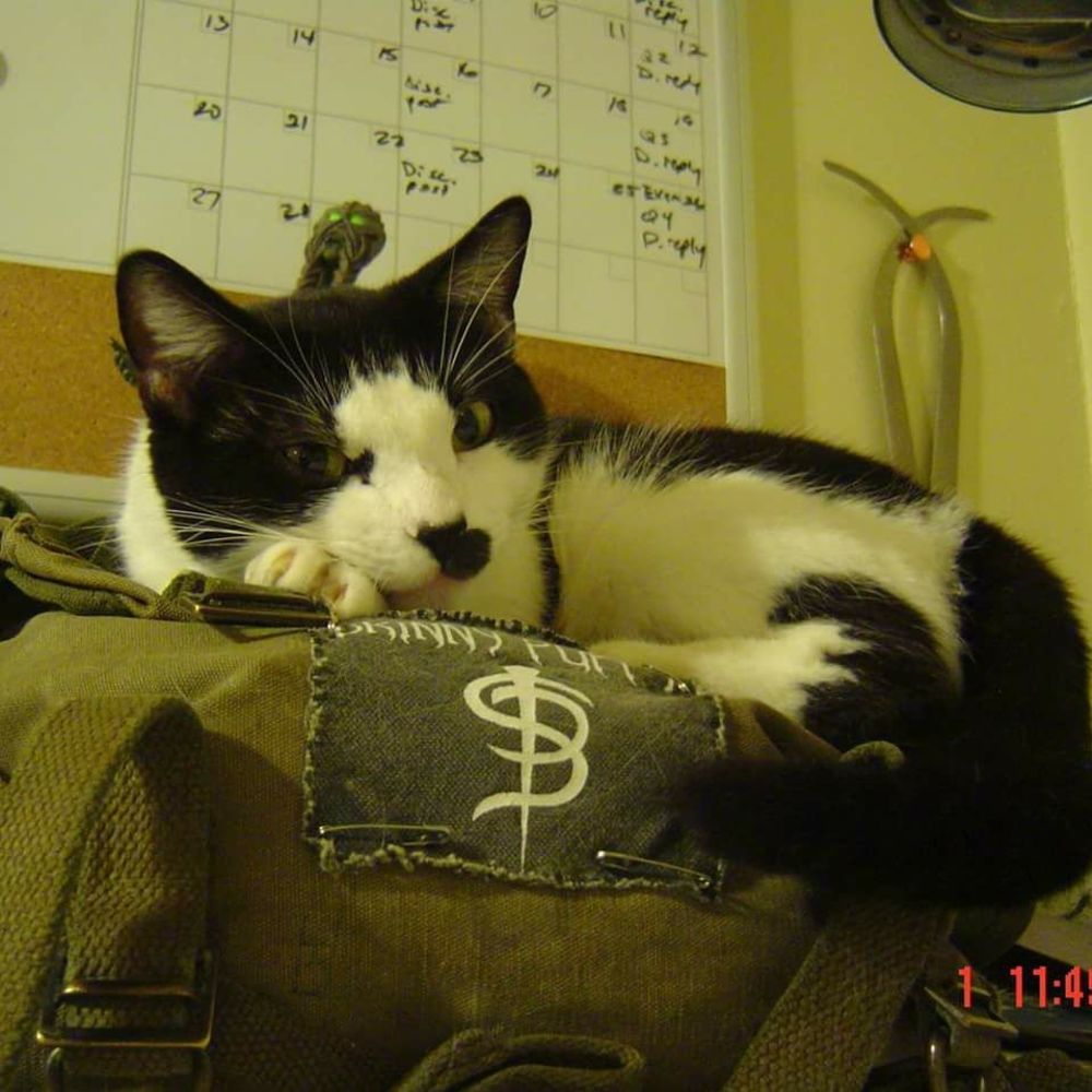 Meet your Posher, Tiffany